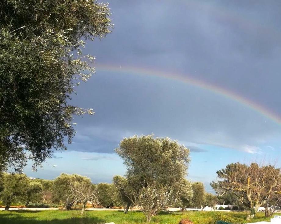 Villa Degli Ulivi Ceglie Messapica Eksteriør billede