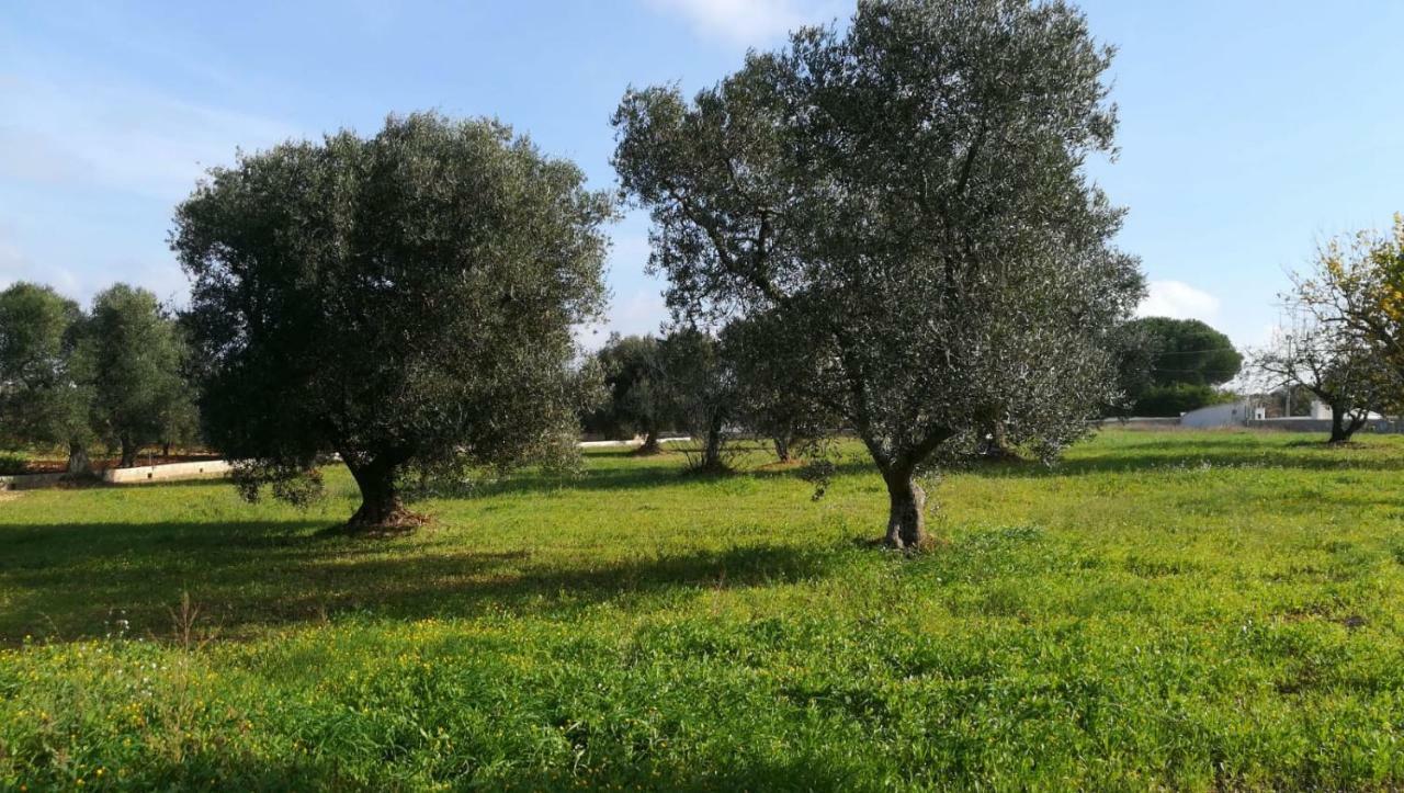 Villa Degli Ulivi Ceglie Messapica Eksteriør billede